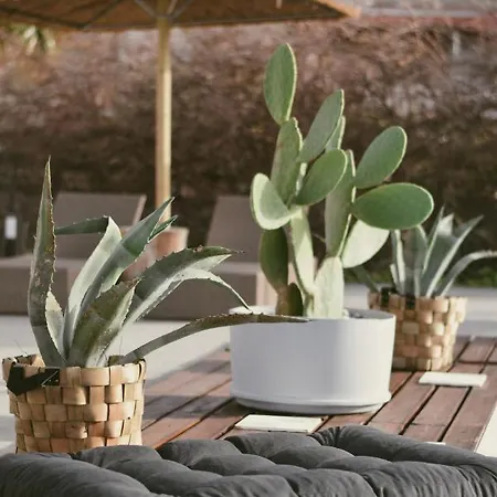 Prázdninový dům La Casa Di Lusso N4 - Adults Only *