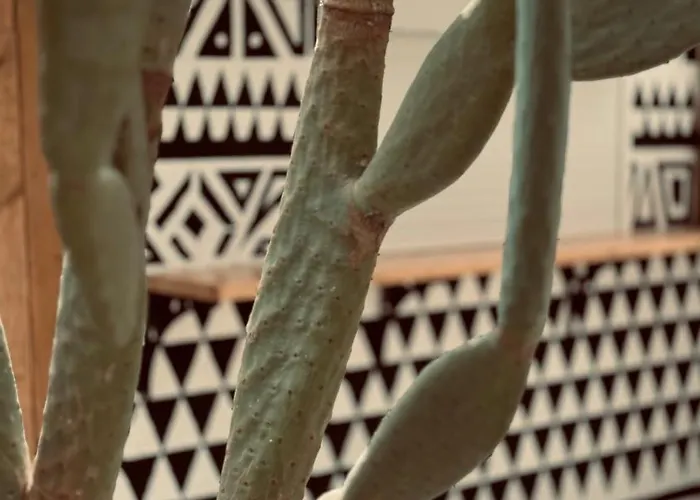 La Casa Di Lusso N4 - Adults Only كولومبيا