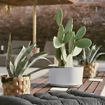 Σπίτι διακοπών La Casa Di Lusso N4 - Adults Only *