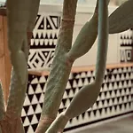 La Casa Di Lusso N4 - Adults Only Κολύμπια
