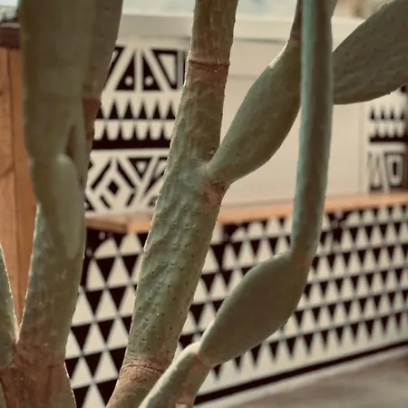 La Casa Di Lusso N4 - Adults Only קולימביה